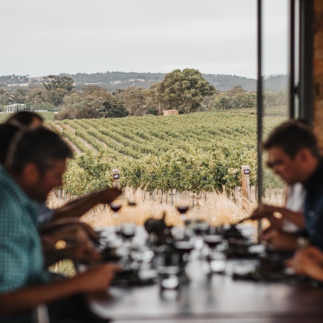 People enjoying a wine tasting session with vineyard view