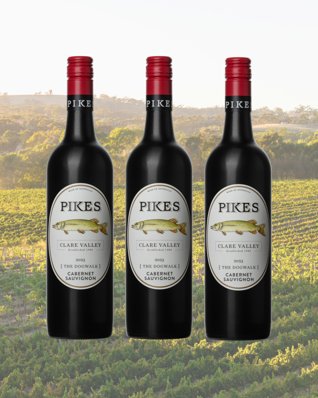 2023 'The Dogwalk' Cabernet Sauvignon 6 Pack