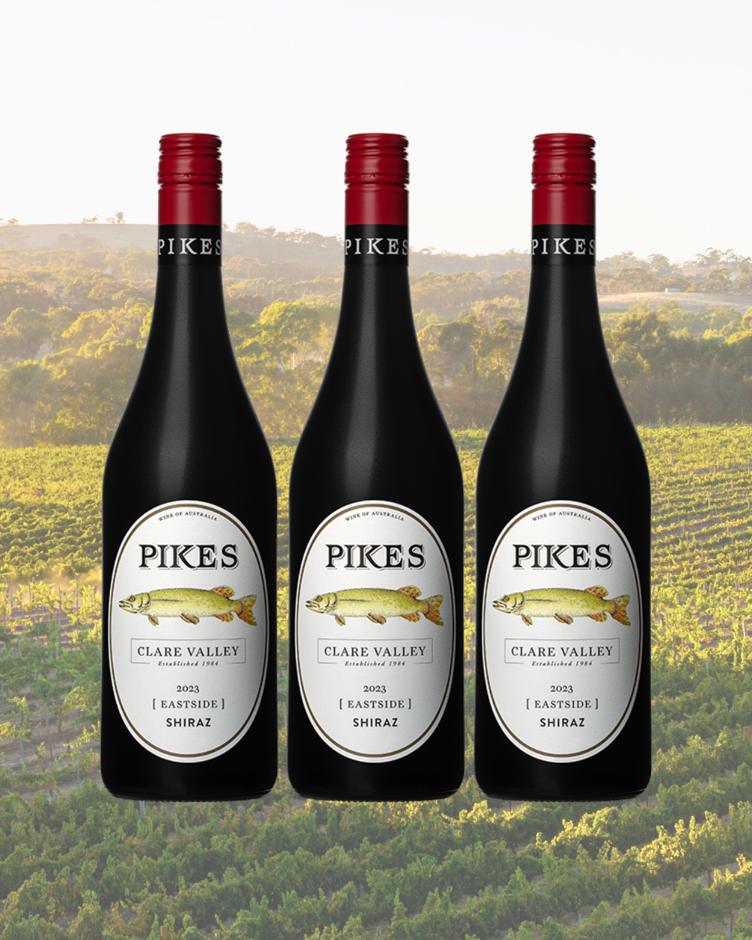 2023 'Eastside' Shiraz 6 Pack