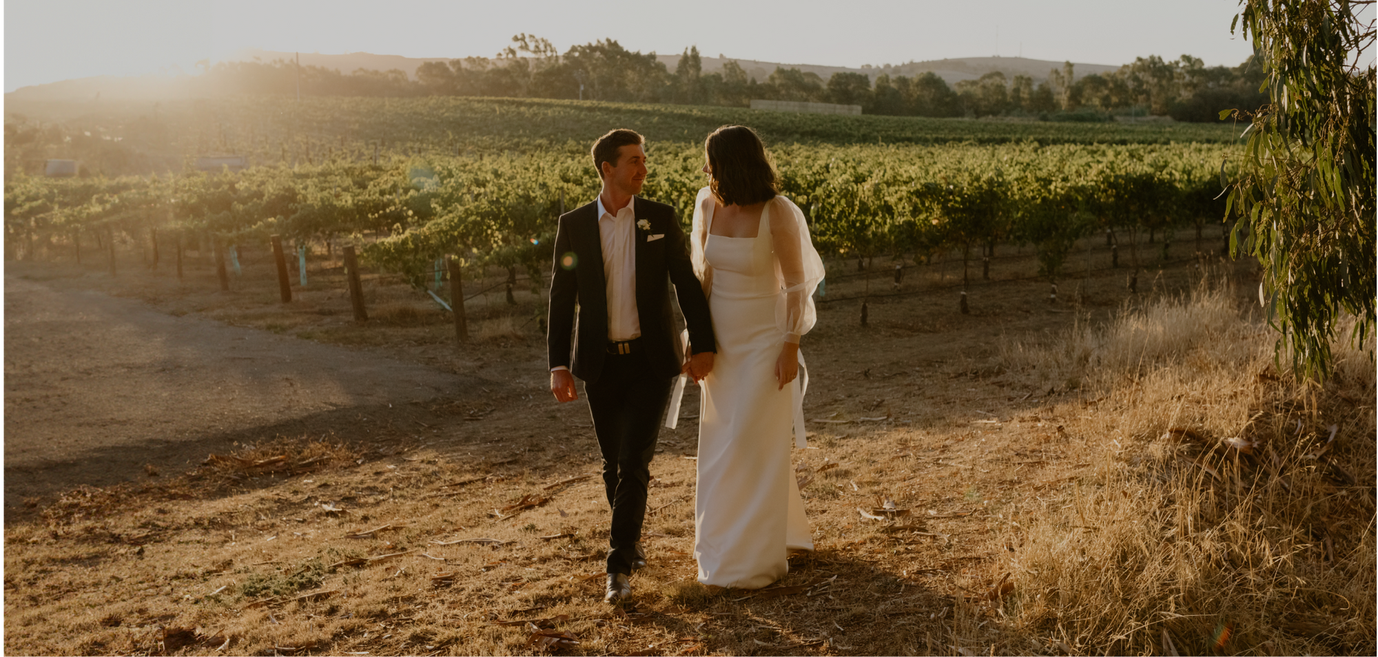 Pikes Wines