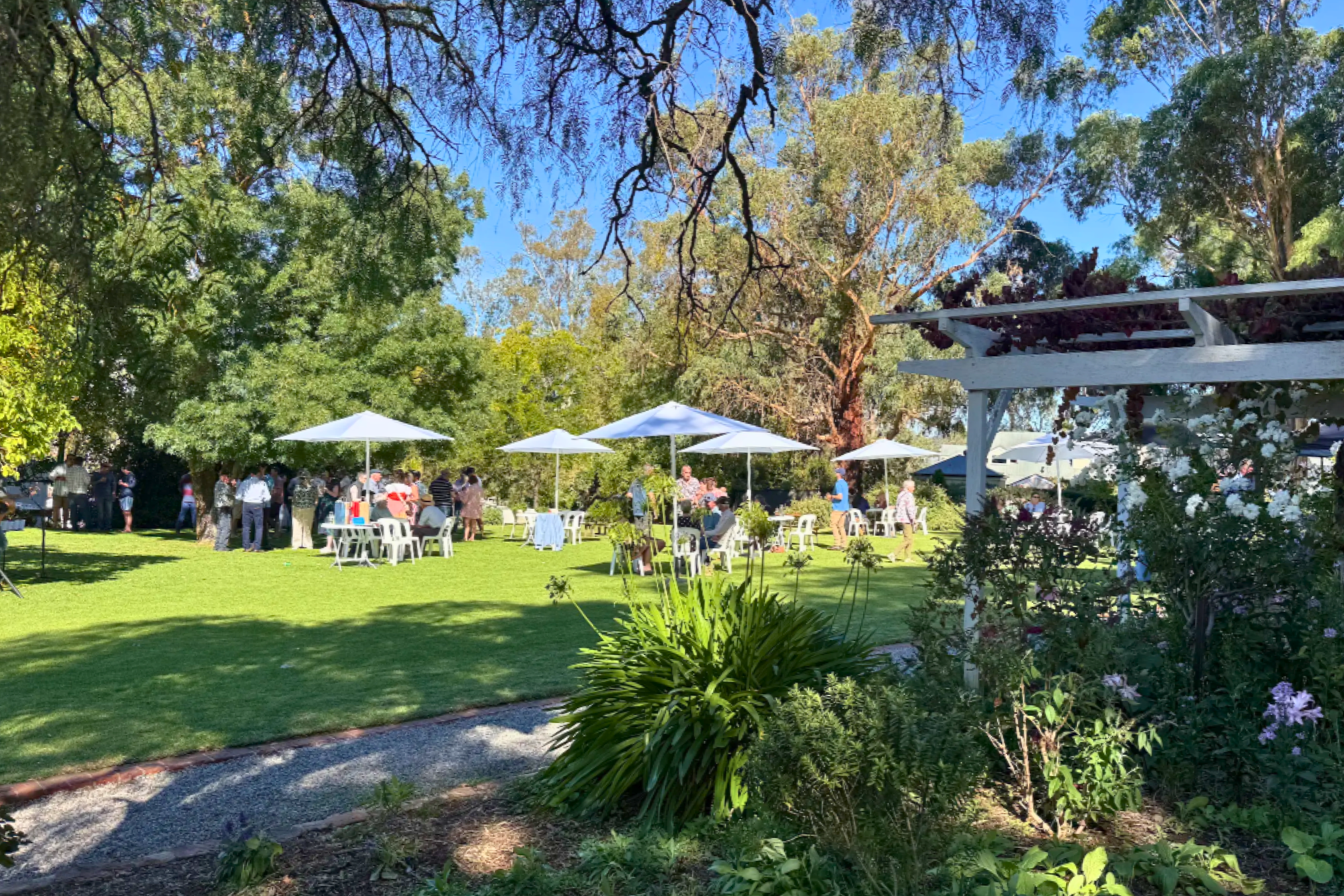 An outdoor garden patio scene with green grass, large trees, white umbrellas, tables, and several people seated in the background under a blue sky.