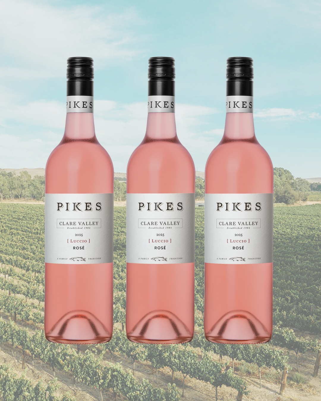 2025 'Luccio' Rosé 6 Pack
