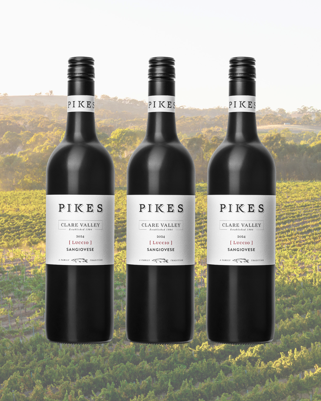 2024 'Luccio' Sangiovese 6 Pack